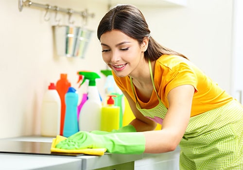 Move-In and Move-Out Cleaning Services
