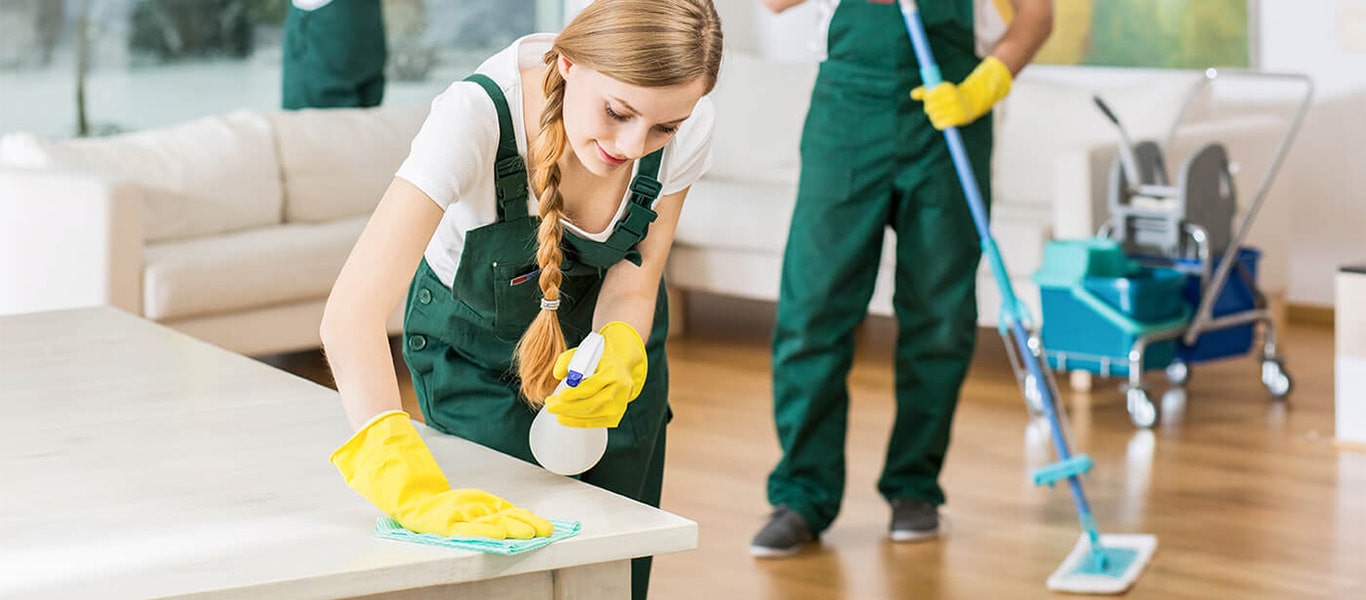 Experienced & Expert Cleaners